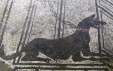 archi mosaic animal dog