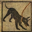 Roman Mosaic Cave Canem. Pompeii.Museo Nazionale Naples