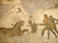Roman Mosaic of Lion  / Tiger Wild Animal and Big Cat